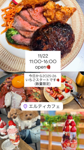 数量限定!2025-26いちごメニューはじまりました