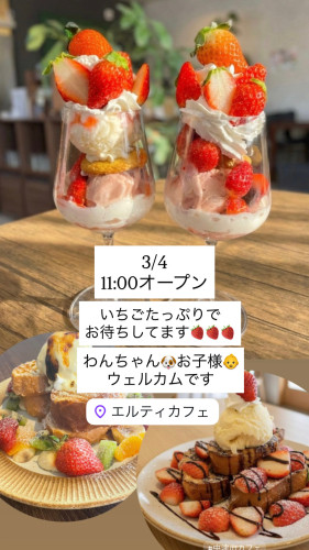 3/4 11時オープン