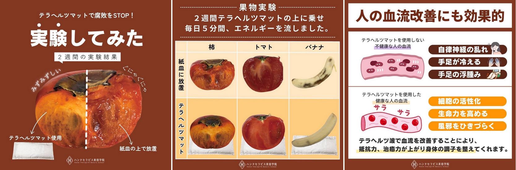 ハンドセラピス美容学院使用テラヘルツマットを使った実験