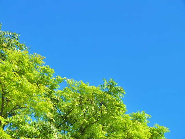 5月は季節の変わり目、自律神経を整えましょう
