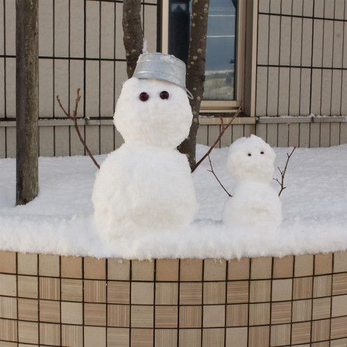 本年もよろしくお願いいたします。