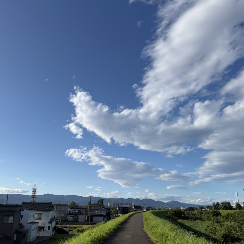 IMG_4267.jpeg
