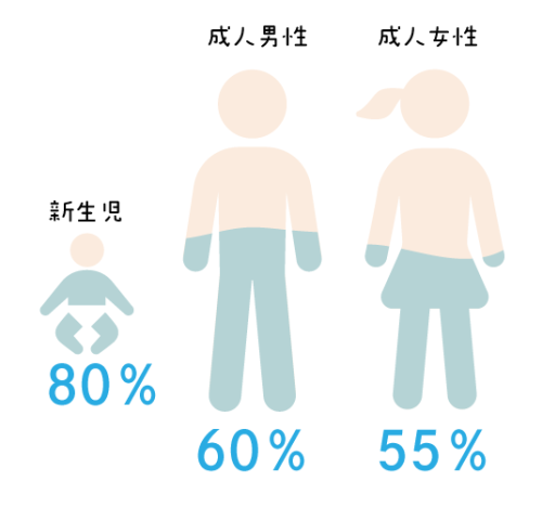 体内水分量