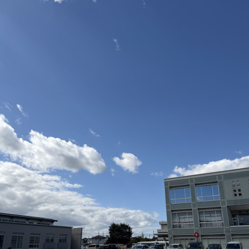 IMG_6139.jpeg