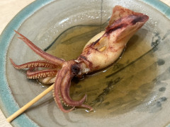 湯いか(Yu-ika)・squid・오징어・乌贼