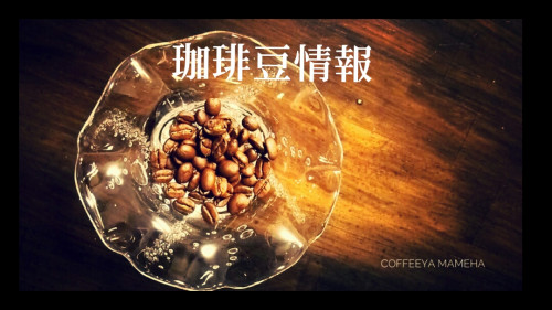 旧 珈琲豆情報 (以降 専用ページにてご案内)
