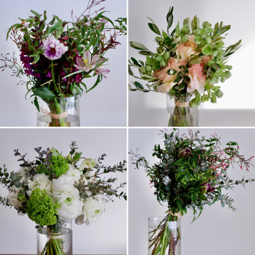 2月のレッスンプログラムを公開しました