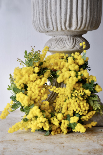 国産ミモザを使ったリース(受注販売)のお知らせ