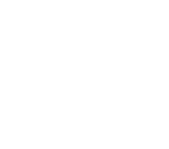 あさひ家 居酒屋 ラーメン 郡山市朝日 レモンサワー がんがん丸