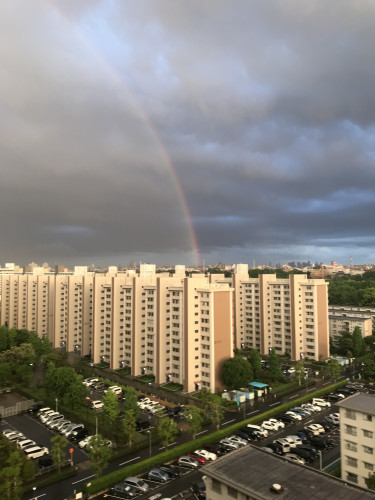 団地の虹.jpg