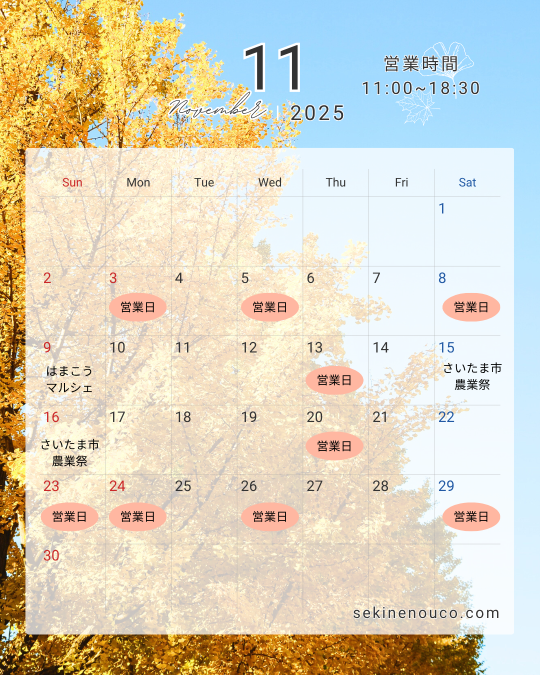 11月のお知らせ