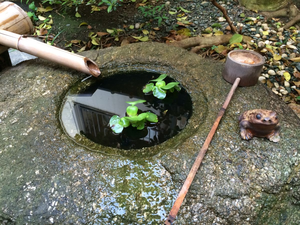 中庭の水鉢