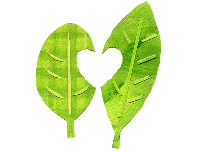 menu_couple@2x.png.png