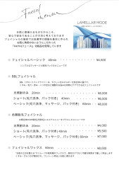 フェイシャルメニュー