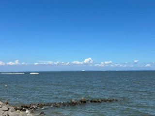 IMG_7217.jpg