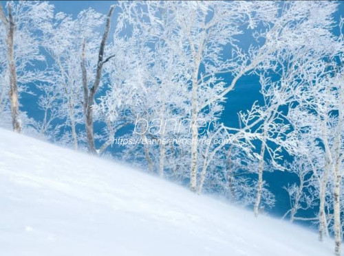 2025年末年始営業日のお知らせ