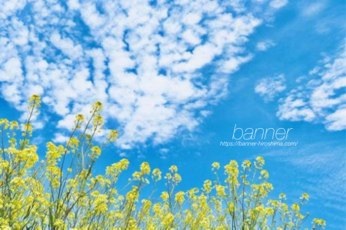 GW連休のお知らせ