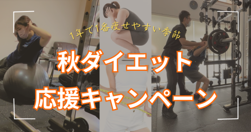 キャンペーン開催!!