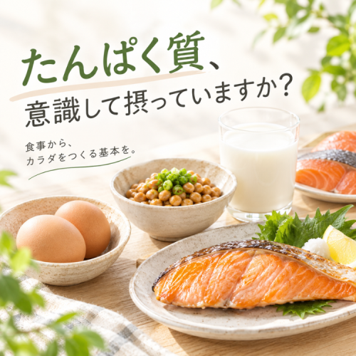 たんぱく質、意識して摂っていますか?