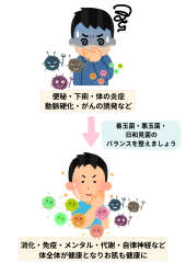 腸が整うと身体も整う