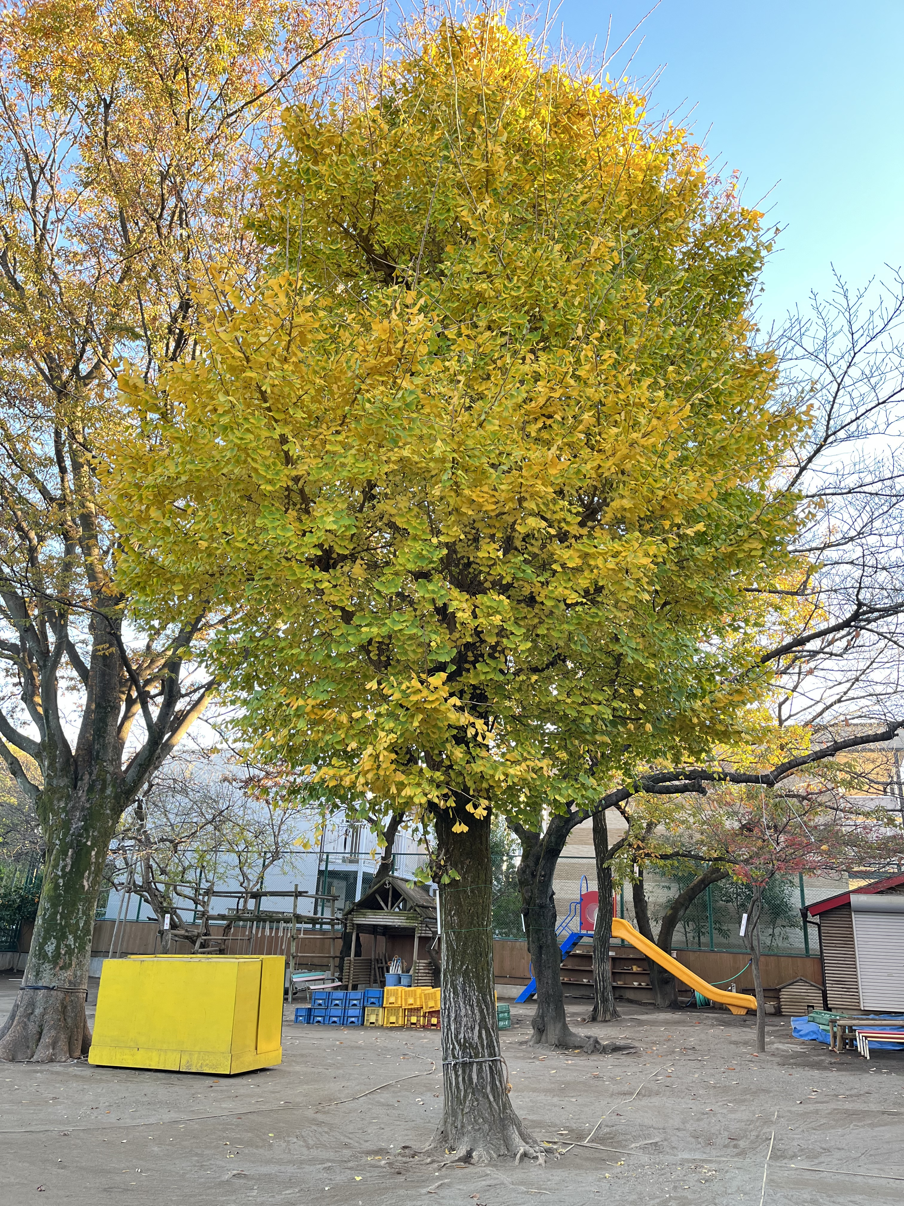満3歳児保育・2歳児プレ教室を始めます🌱(令和5年度より)
