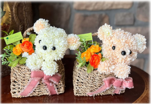 7月21日 ワークショップのご案内