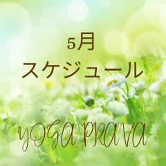 5月スケジュール