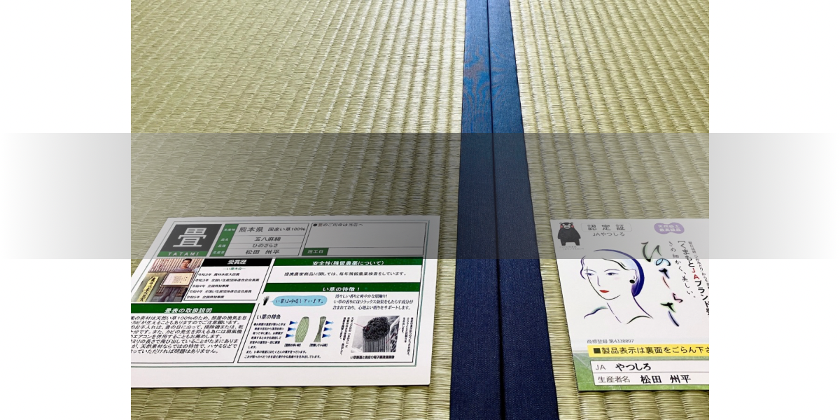至高ひのさらさと、推奨で不動の主役ひのさくら。