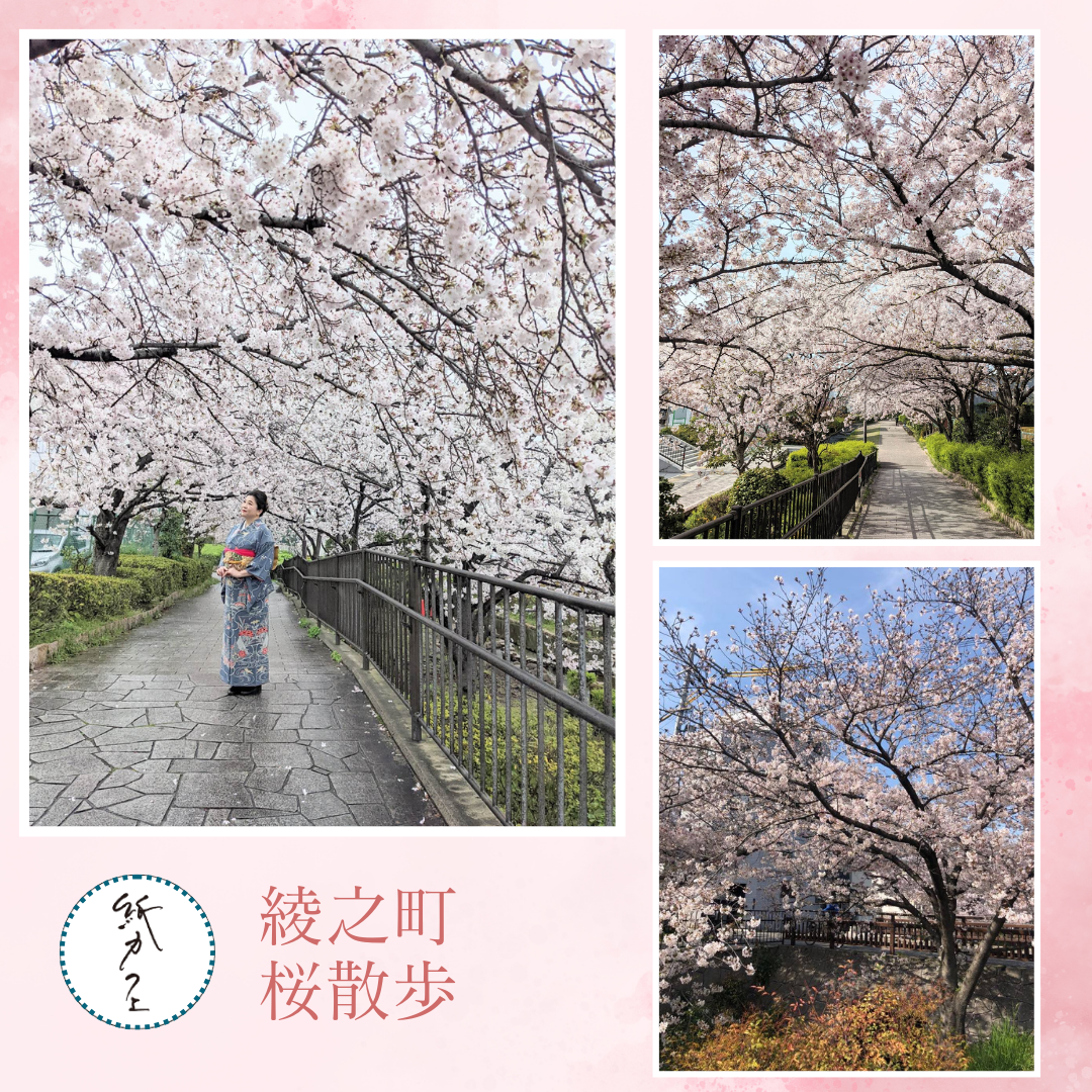 🌸桜シーズン到来🌸