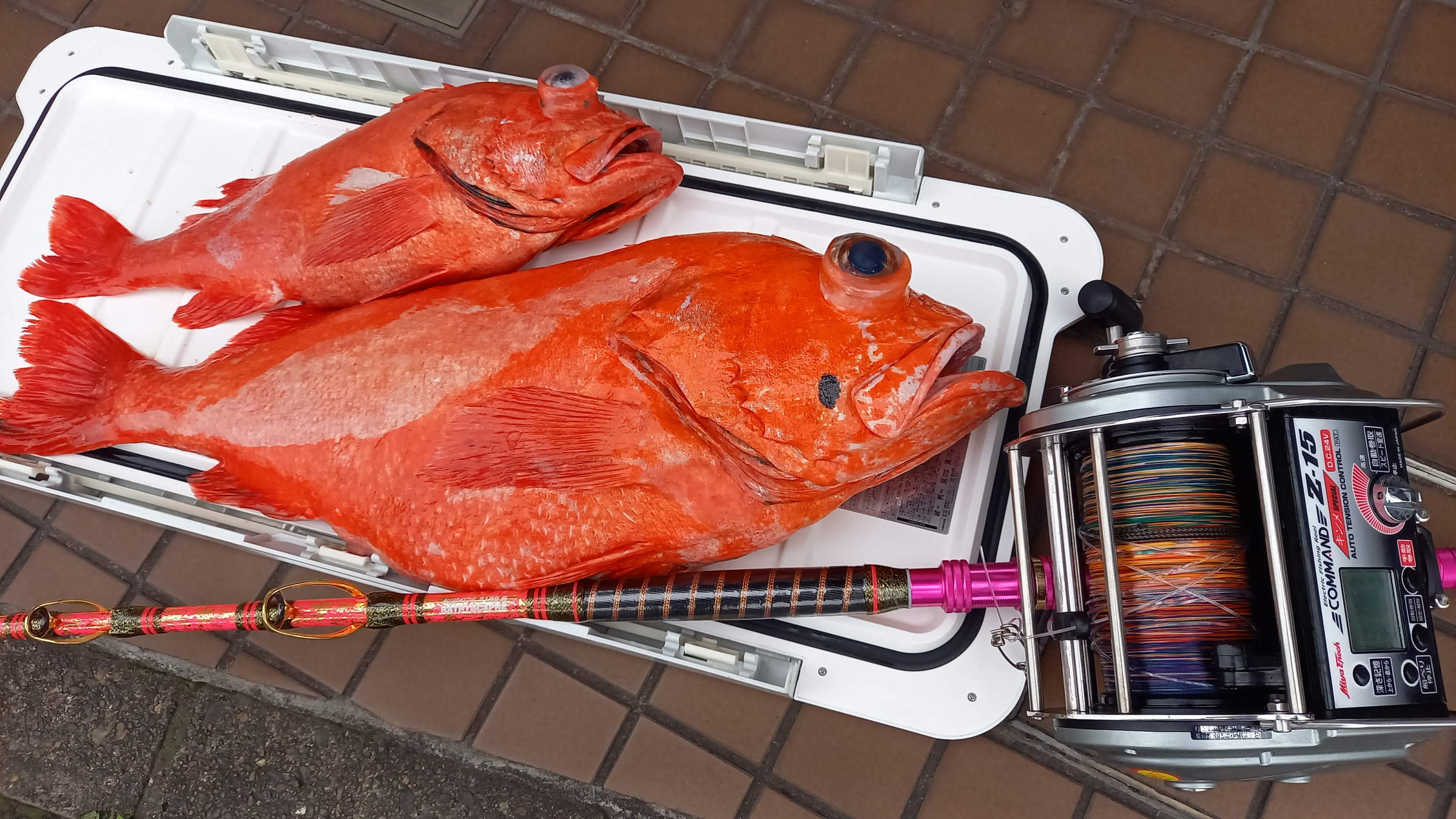 価値ある1匹を釣るお手伝いをさせて頂きます！