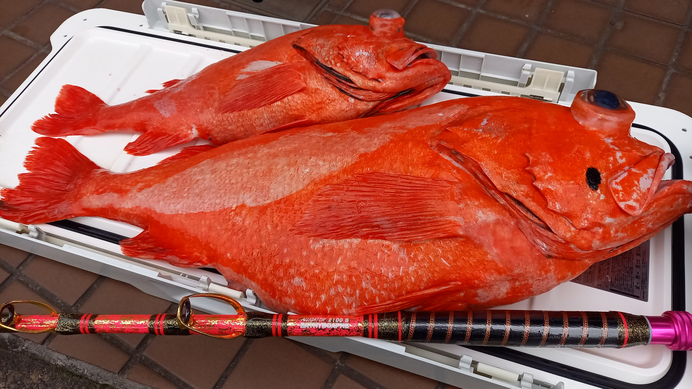 価値ある1匹を釣るお手伝いをさせて頂きます！