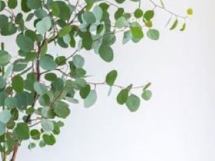 夏季休業のお知らせ