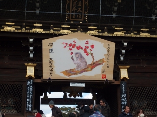 P1254347-2.jpg