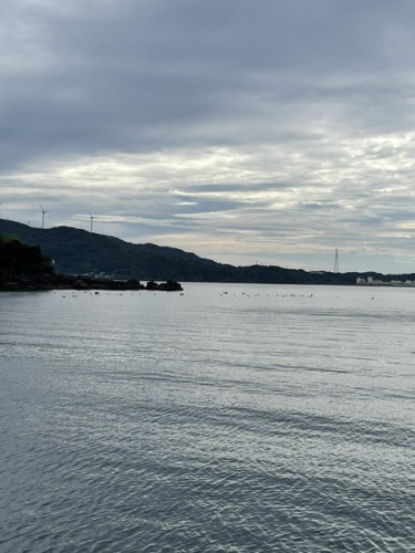 IMG_2636.jpeg