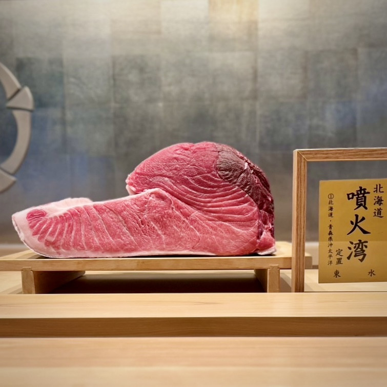 北海道 噴火湾/140kg 腹上。