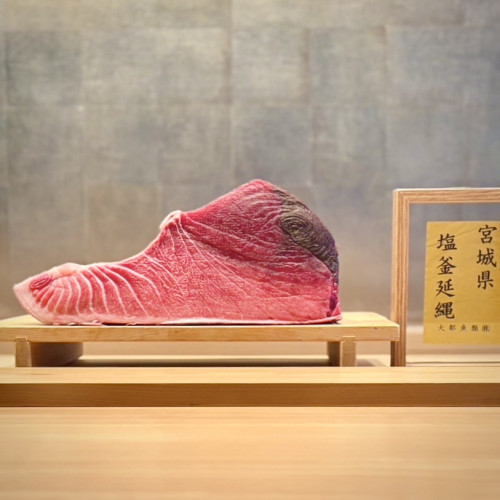 宮城 塩釜/131kg 腹中。