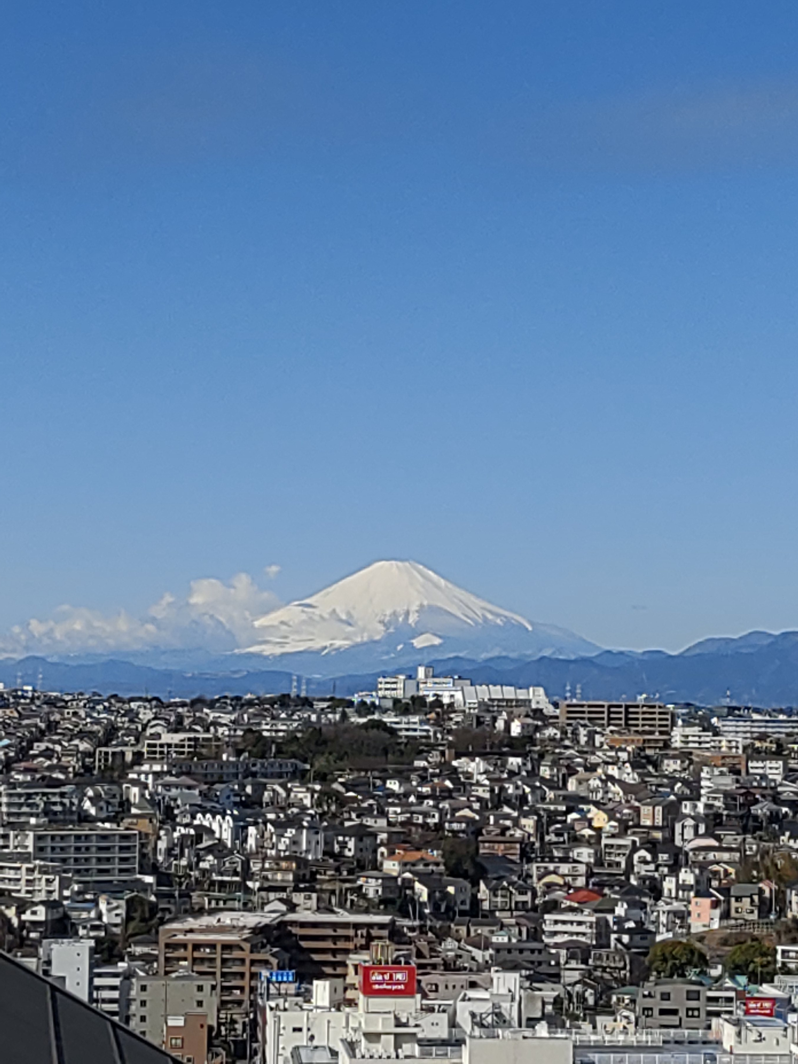 富士山（画像あり）
