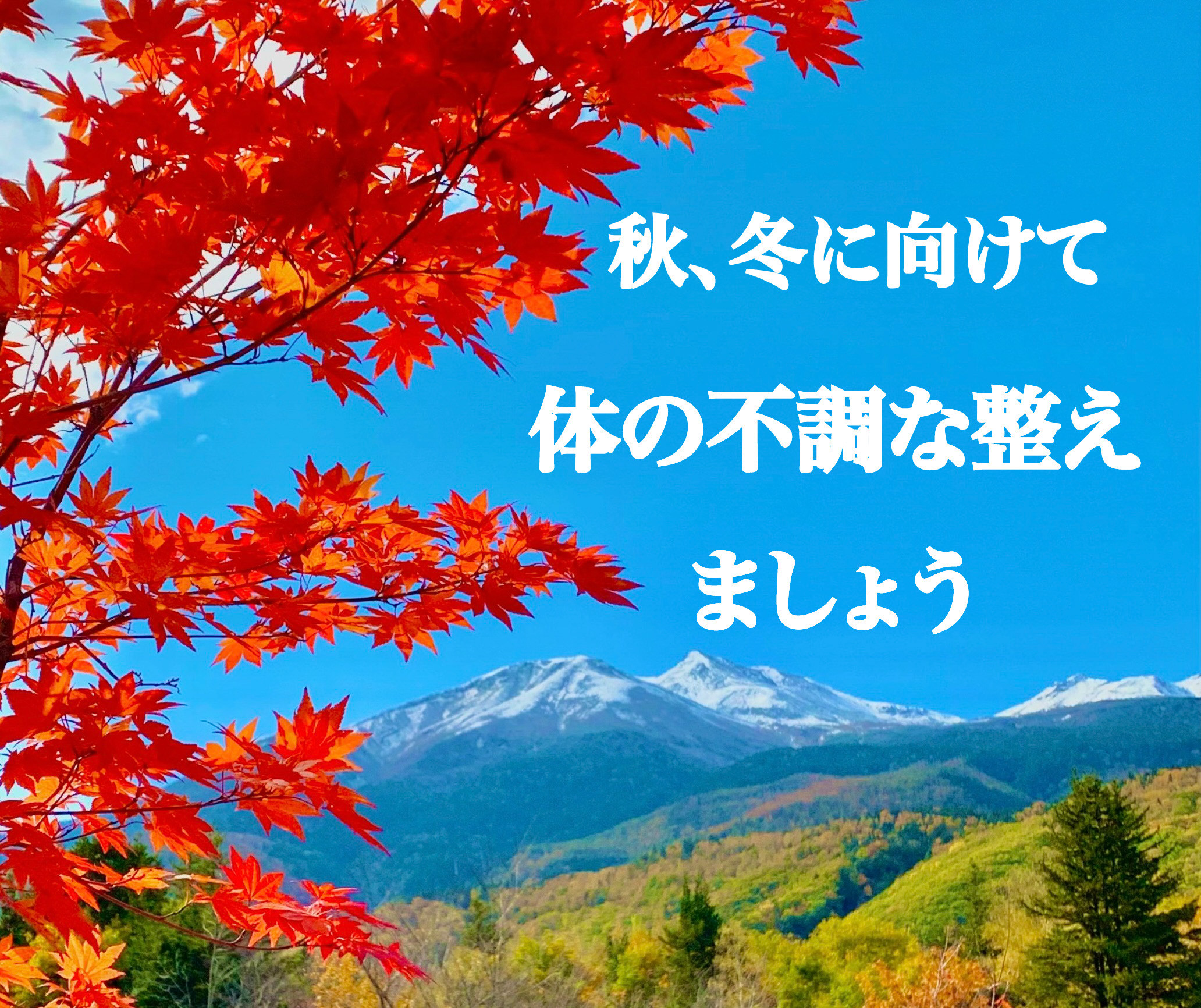 40%割引キャンペーン実施中!