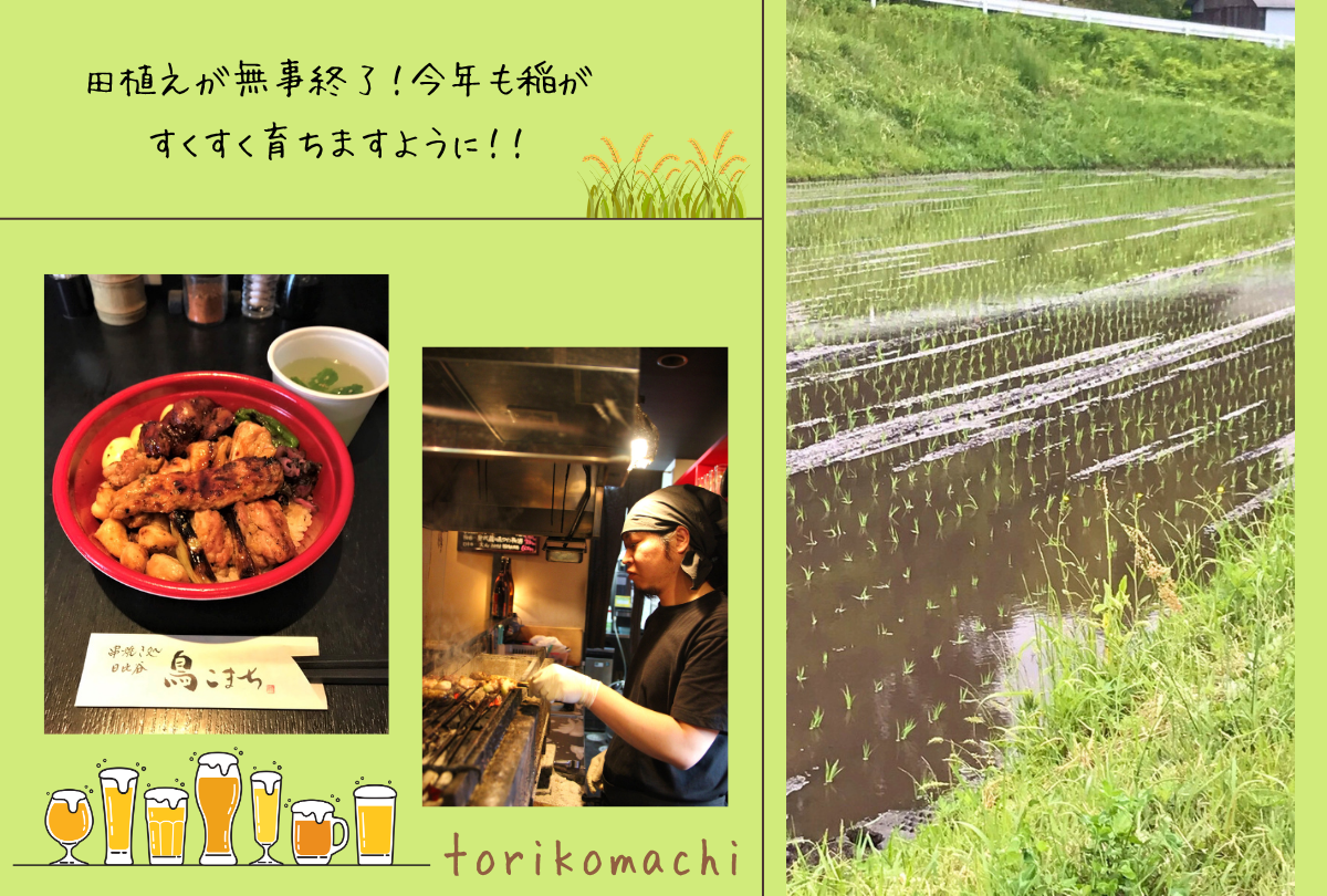 6月のおすすめ♪