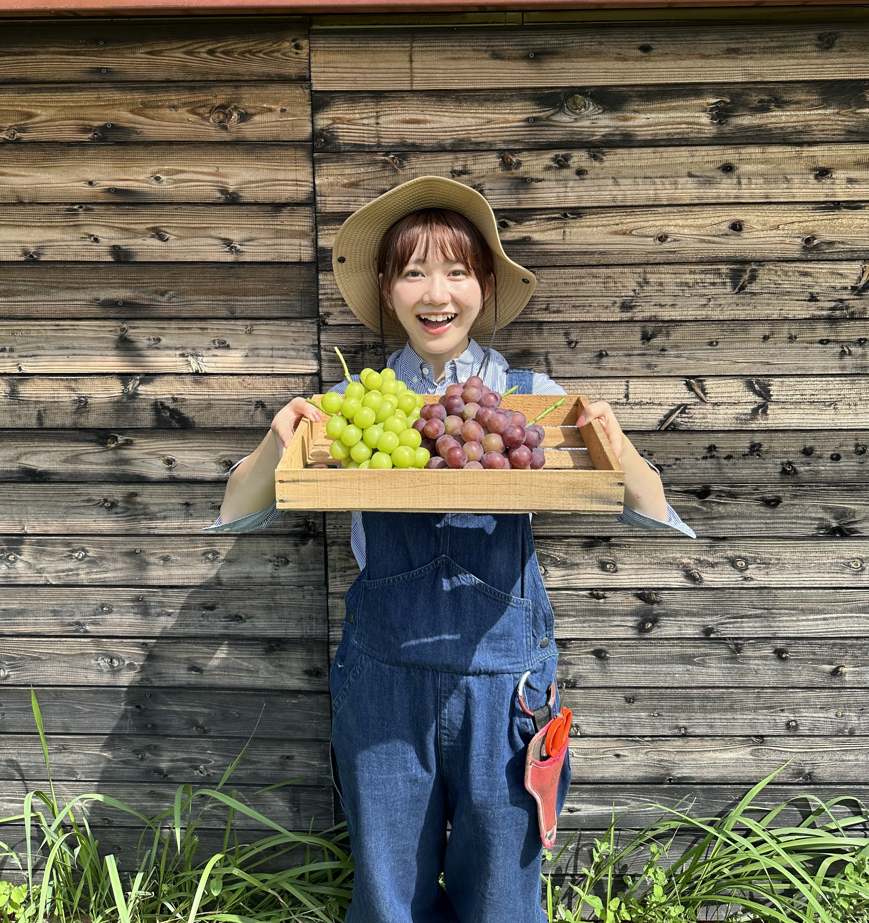 Deai orchard ファンクラブ会員募集のお知らせ