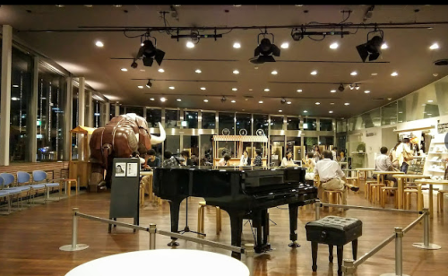様々な音楽に触れてきました♫