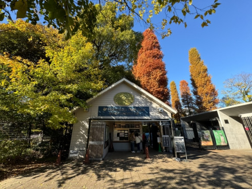 走って30秒で井の頭公園
