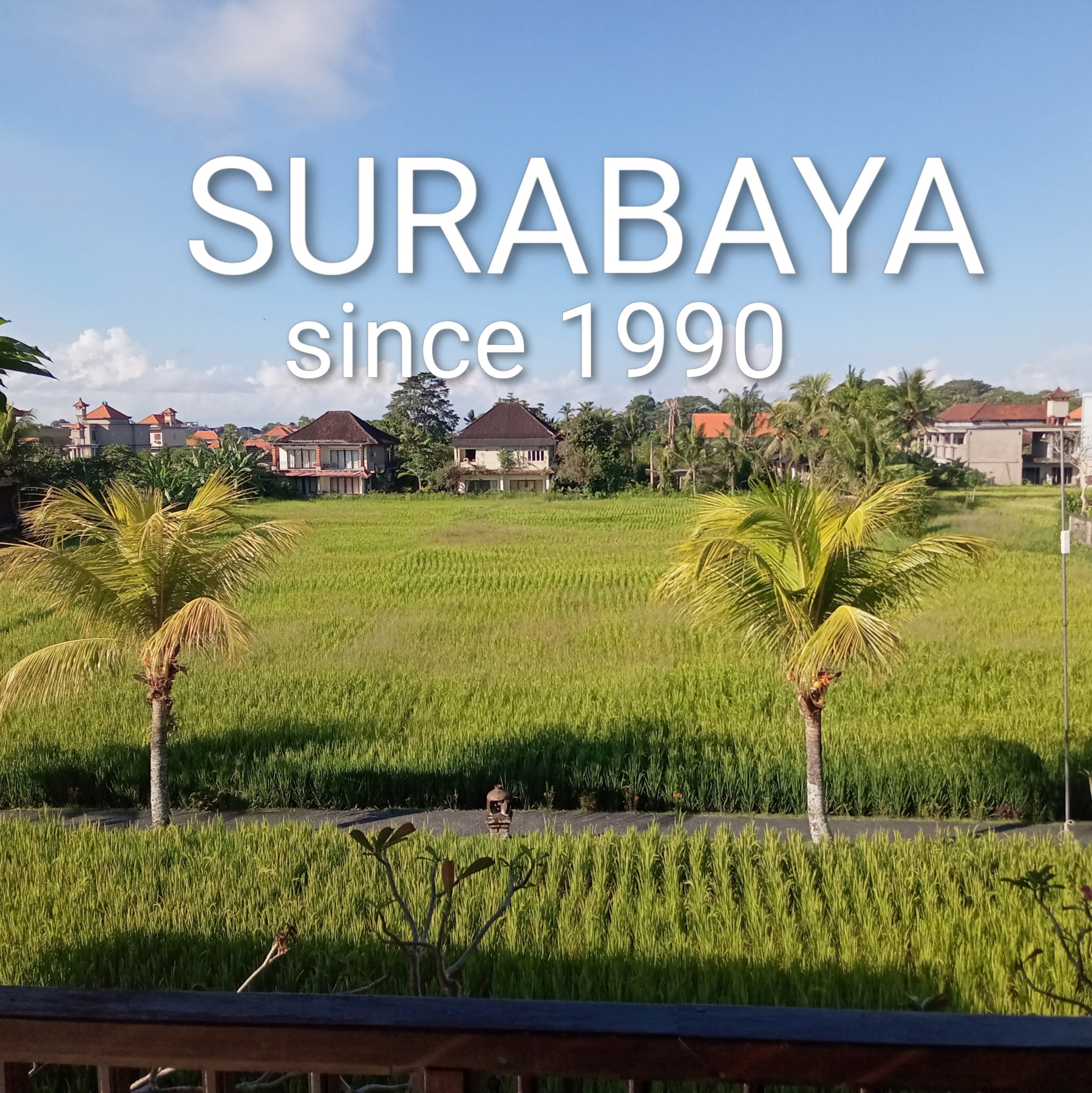 SURABAYA
(スラバヤ)
インドネシア諸島(バリ島/ジャワ島ほか)
民工芸品販売