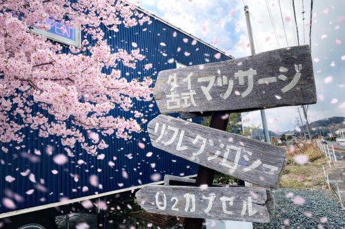 ビビビ際pointで、まったりと!