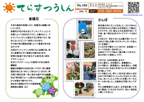 てらす通信_2025年　163号