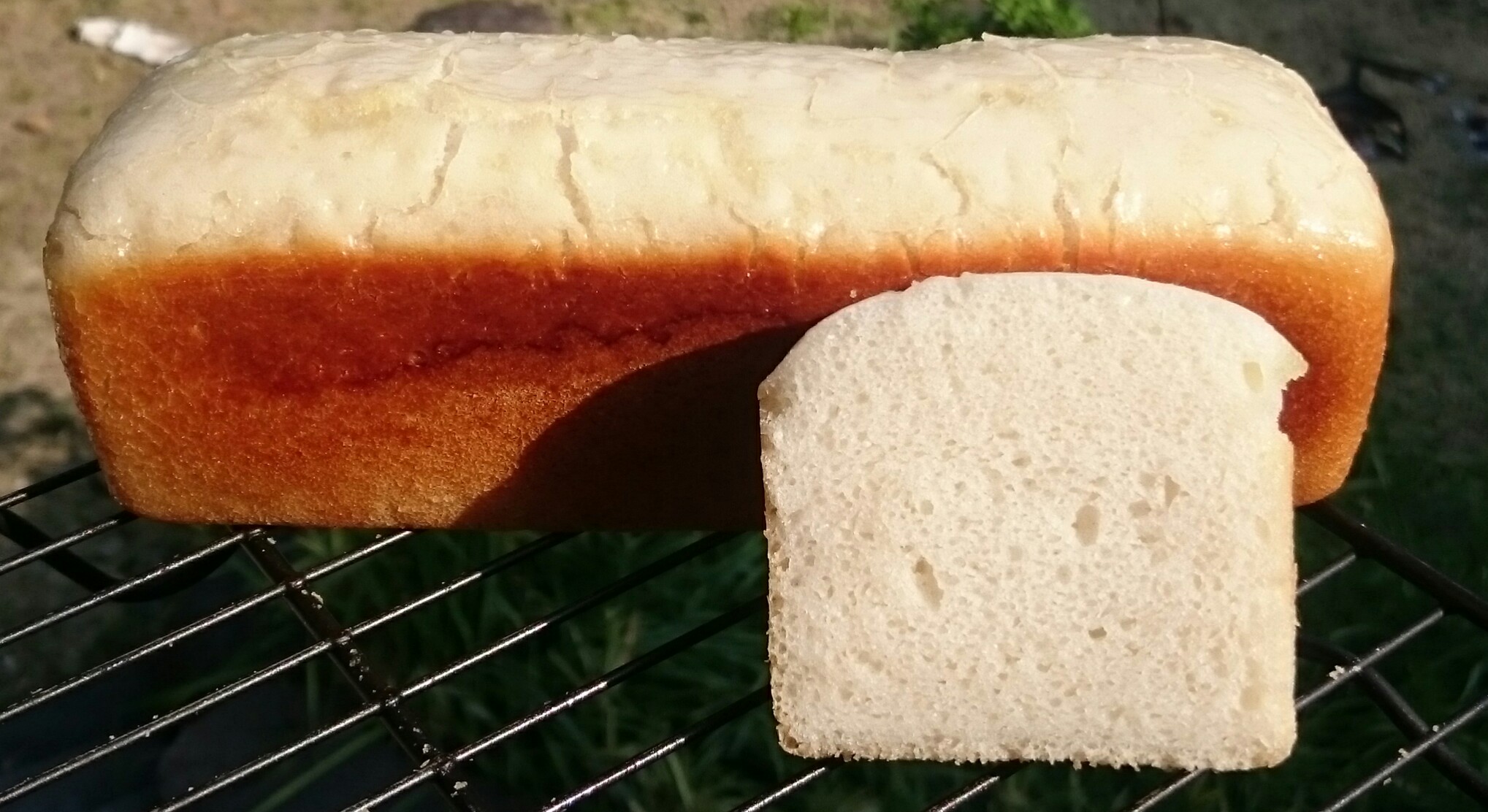 _20170401_200508.JPG