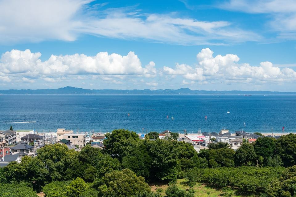 高台から見る夏の三浦海岸