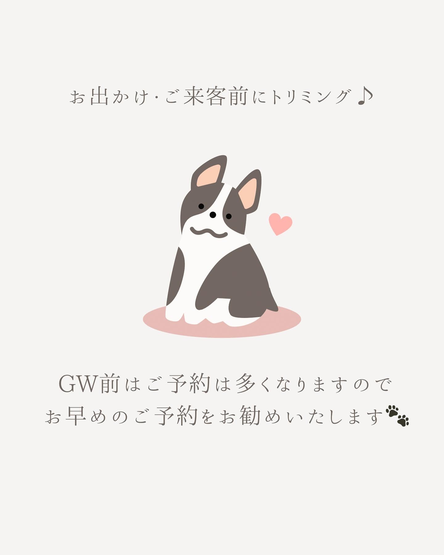 GW前のご予約はお早めに🐾