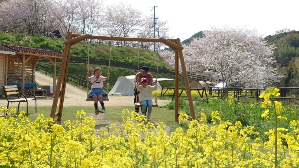 菜の花畑でキャンプ