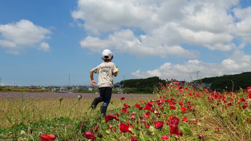 母の日